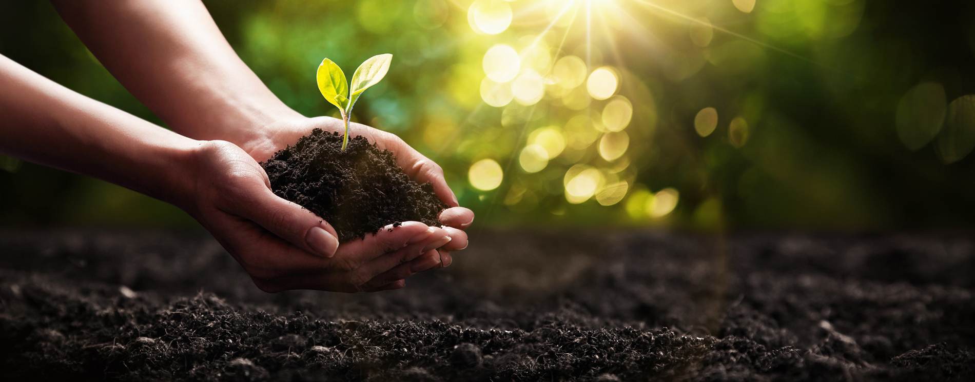 A short guide on eco-packaging. Nature-friendly plastic available on the market.