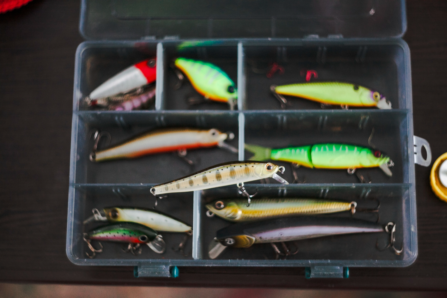 Which containers to choose for storing fishing baits?